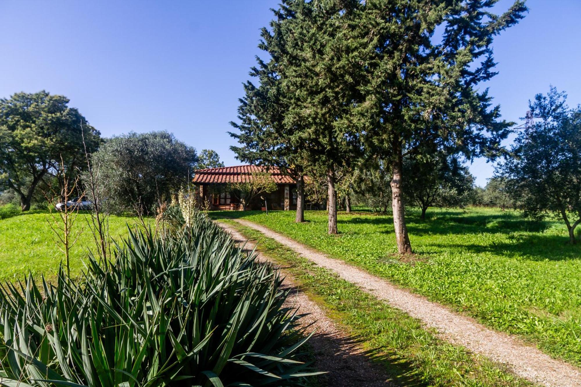 Agriturismo Bio Fattoria Casetta Gavorrano Exterior foto